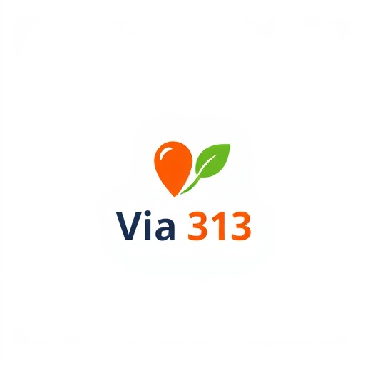 Via 313 Logo